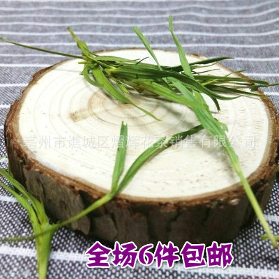 批发崂山石竹茶 竹叶青茶 小竹叶茶 淡竹叶 特价散装花草茶防辐射